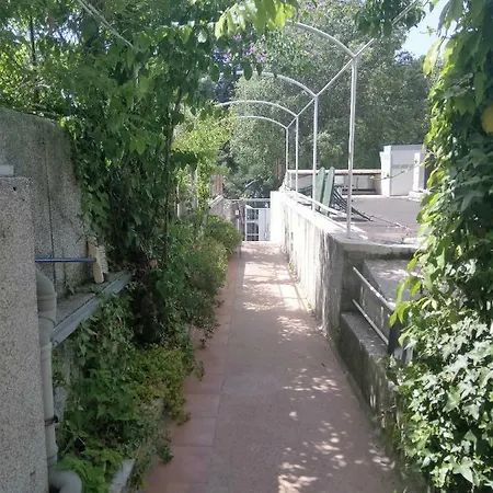Tiha *